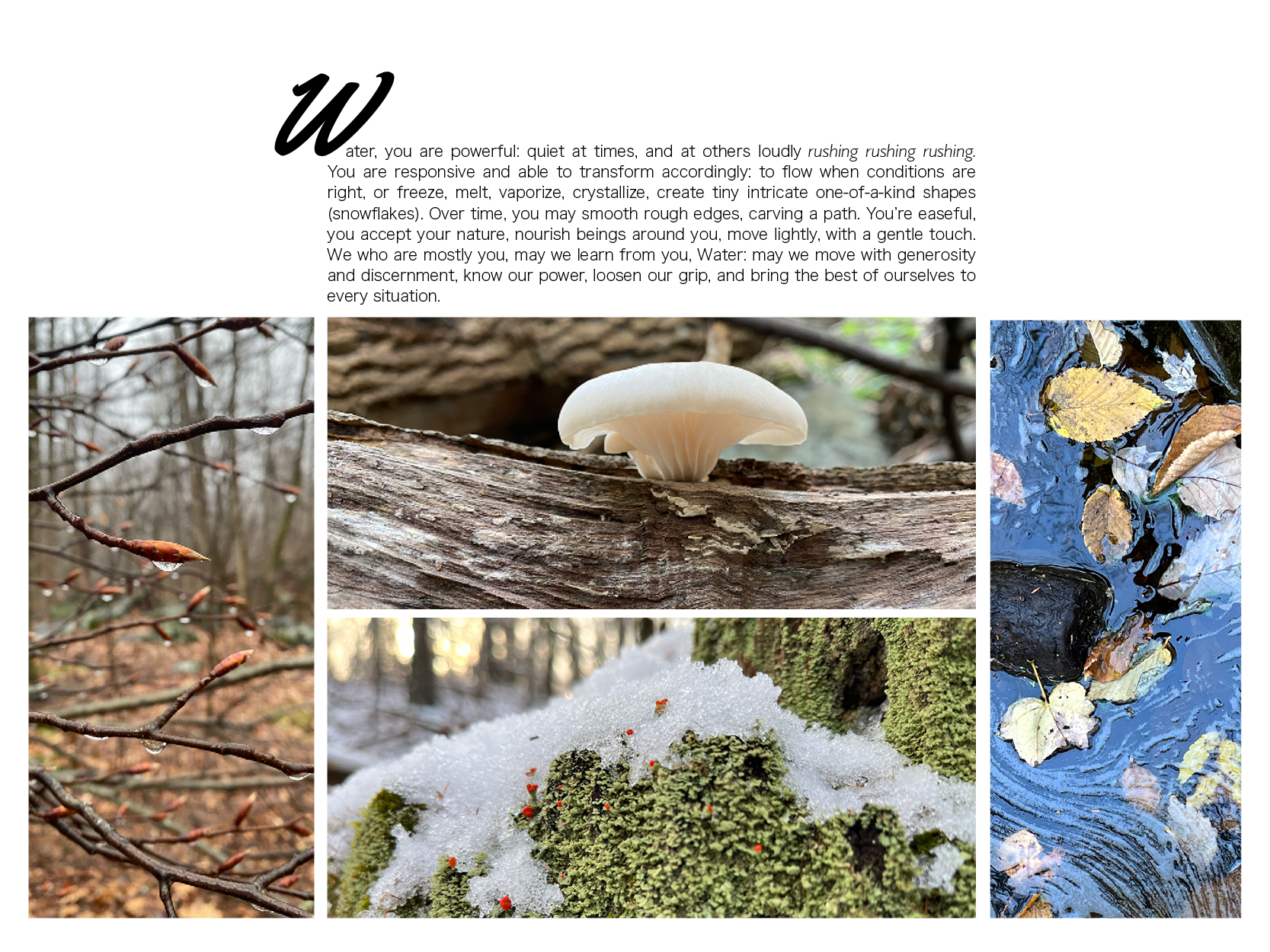 "Ode to Tubig" has four color photos and one prose poem in English. Each photo shows a forest scene with water in one of the forms water can be experienced during Spring, Summer, Fall, and Winter, the four seasons that can be experienced in the Northeastern part of what is now known as the United States of America, where the artist was born, raised, and currently lives. The poem says: Water, you are powerful: quiet at times, and at others loudly rushing rushing rushing. You are responsive and able to transform accordingly: to flow when conditions are right, or freeze, melt, vaporize, crystallize, create tiny intricate one-of-a-kind shapes (snowflakes). Over time, you may smooth rough edges, carving a path. You're easeful, you accept your nature, nourish beings around you, move lightly, with a gentle touch. We who are mostly you, may we learn from you, Water: may we move with generosity and discernment, know our power, loosen our grip, and bring the best of ourselves to every situation.