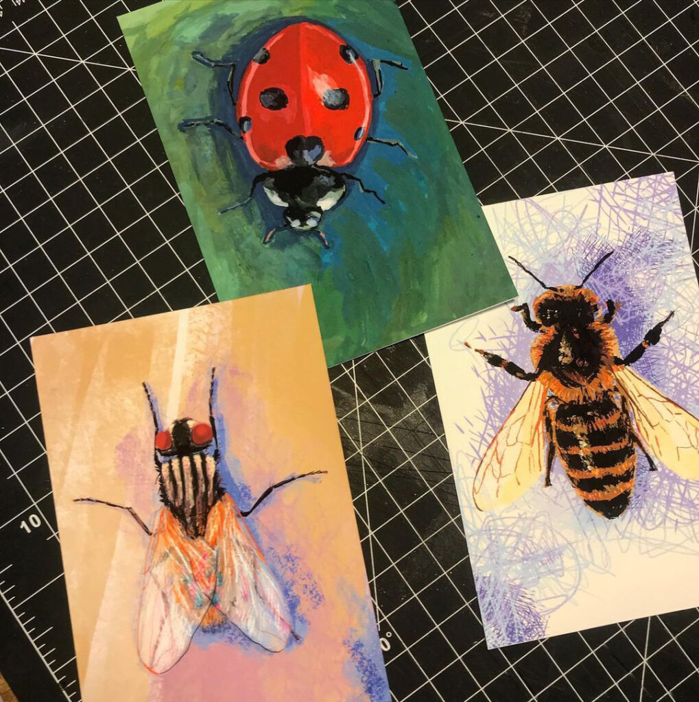 a ladybird, a bee and another insect from Amy's book of bugs